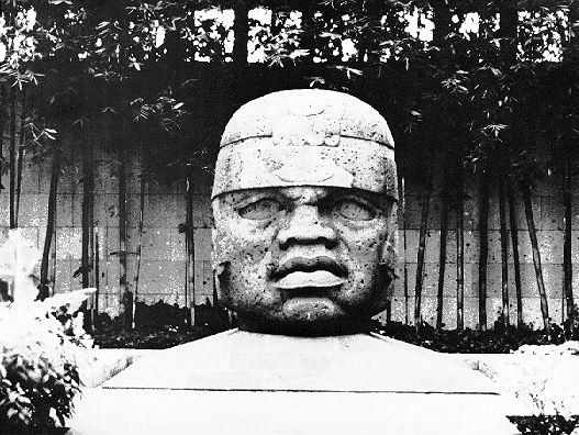 Olmec Head